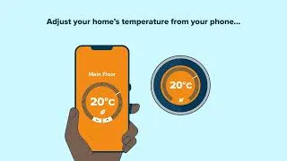 Thumbnail: 7 ways to be more eco-friendly at home