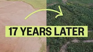 Thumbnail: We've Planted 250 MILLION Trees