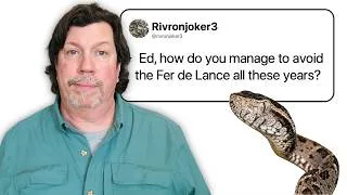 Thumbnail: Archaeologist Answers His Viewers' Questions