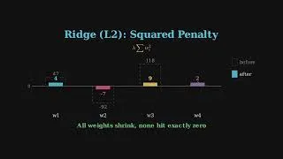 Thumbnail: How to Stop AI from Memorizing: Lasso & Ridge Regularization