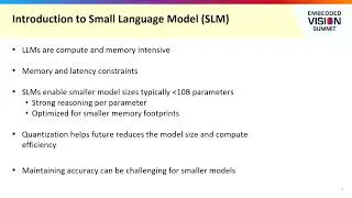 Thumbnail: AMD Discusses Small Language Models, Trade-Offs and Quantization in Practice (Preview)