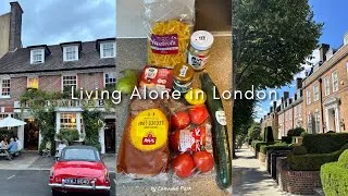 Thumbnail: Living Alone Diaries | busy week working for long hours, a new recipe, autumn in west London