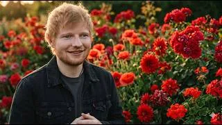 Thumbnail: Ed Sheeran – Westminster Hearts (Official Music Video) | Emotional Love Ballad 2026 ❤️