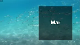 Thumbnail: Mar de Cortés