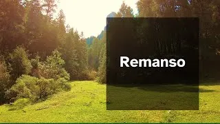 Thumbnail: Remanso en el Bosque