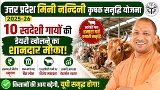 Thumbnail: उत्तरप्रदेश मिनी नन्दिनी कृषक समृद्धि योजना 2025-26 |10 स्वदेशी गायों की डेयरी खोलने का शानदार मौका!