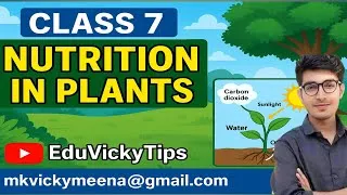 Thumbnail: How Plants Make Their Food? | Photosynthesis & Nutrition Explained in Hindi | #NutritionInPlants