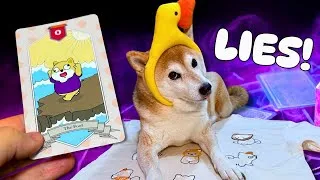 Thumbnail: I Read My SHIBA'S Tarot and You Won't Believe What Happened!
