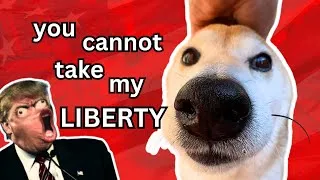 Thumbnail: You can TAKE MY EARS but you CANNOT take my liberty DOG