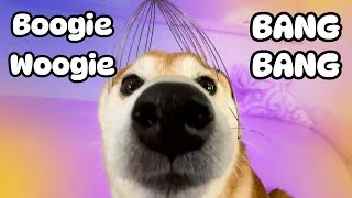 Thumbnail: Hey boogie woogie bang bang Doge (The Pokédance Dog)