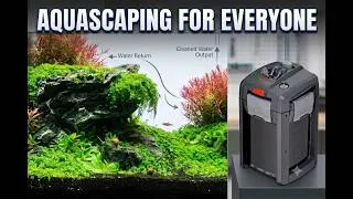 Thumbnail: Aquascaping Ideas, Planted Tanks & Fishkeeping All in One Place