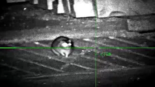 Thumbnail: Rat Hunting / Shooting with an Air Rifle in Eindhoven 🔫🐀🎯
