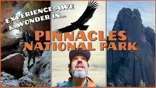 Thumbnail: Caves, Condors & Cliffs: Pinnacles National Park Adventure