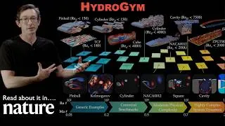 Thumbnail: HydroGym: A Reinforcement Learning Platform for Fluid Dynamics