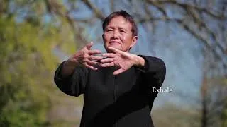 Thumbnail: Qigong Full 20-Minute Daily Routine