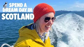 Thumbnail: Scottish West Coast | Giant Puffin Colony + Dreamy Fingal's Cave