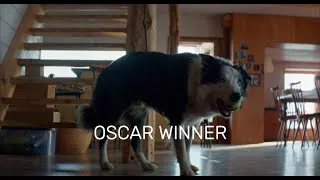 Thumbnail: the dog from anatomy of a fall serving acting