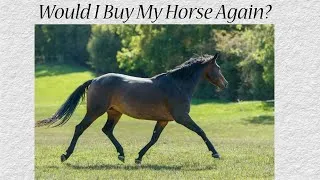 Thumbnail: Would I Buy My Horse Again?