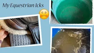 Thumbnail: Equestrian Icks 