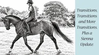 Thumbnail: Quick Sienna update. Plus a schooling session of transitions.