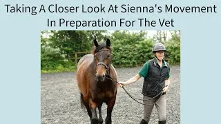Thumbnail: Taking A Closer Look At Sienna’s Movement | Equestrian Vlog