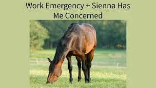 Thumbnail: Work Emergency & Sienna Has Me Worried 