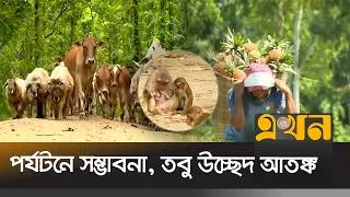 Thumbnail: ময়মনসিংহের সন্তোষপুর ইকোপার্কে কতটুকু সন্তুষ্ট স্থানীয়রা! Mymensingh Eco Park | Ekhon TV