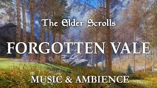 Thumbnail: Quiet Morning in the Forgotten Vale | 3 Hours Skyrim Music and Ambience