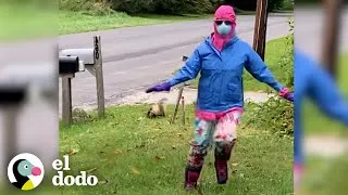 Thumbnail: Zorrillo atrapado en una tubería es salvado por una familia valiente | El Dodo