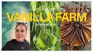 Thumbnail: Emotional Trip to a Vanilla Farm in Mauritius | Solo Travel Vlog 🥲🇲🇺🤍