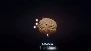 Thumbnail: Echodelic  - The Mind
