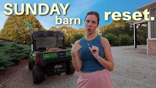 Thumbnail: SUNDAY RESET: de-worming, bathing my horses & living alone!