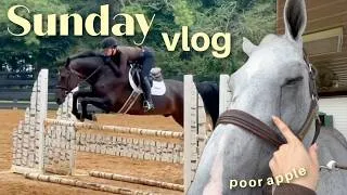 Thumbnail: My Horse Woke Up With a Swollen Eye... | Sunday Reset