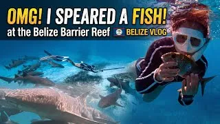 Thumbnail: BELIZE VLOG: Spearfishing My Own Dinner Around Sharks, Blue Hole Tour & Manatees! 🇧🇿