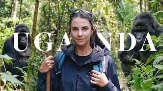 Thumbnail: I travelled across the world to Uganda to find WILD gorillas🇺🇬 | Elena Taber
