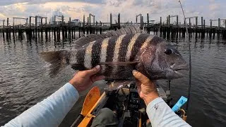 Thumbnail: Uncut Dock Fishing With Crabs | Bait Or Tide...What Matters More?