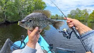 Thumbnail: 3 Days Of Riding The Tide | Ultralight Fishing & Bait Fishing w/Live Crabs, & Sand Fleas