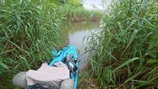 Thumbnail: Deep In The Reeds | Shrimp Or Bust - What’s The Best Shrimp Lure For Ultralight Fishing?