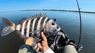 Thumbnail: UNCUT (mostly) | Drift Fishing For Sheepshead & Jigging BIG Reds