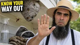 Thumbnail: How to GET RID of a WASP NEST... Safety First