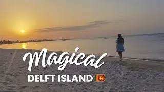 Thumbnail: Delft Island Sri Lanka Travel Guide: Whimsical Beaches & Wild Horses | Silent travel vlog