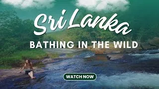 Thumbnail: Thelgamu Oya in Illukkumbura - A peaceful day of swimming in the wild (no talking, nature asmr)