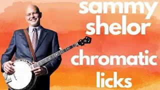 Thumbnail: Sammy Shelor Chromatic Banjo Licks