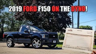 Thumbnail: How Much HP Does a 2018-2020 5.0L F150 Make?
