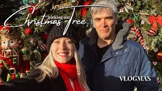 Thumbnail: Cosy Vlog, Christmas Tree Farm 🌲 Walk-around the Woods, Old Fashioned Railway, Vlogmas 🚂✨