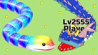 Thumbnail: 🐍 Snake Clash – Battle of the Giant Snakes! 🔥