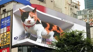 Thumbnail: 3D LED BILLBOARDS AND OOH ADVERTISING -  AMAZING 3D BILLBOARD COMPILATION - 3D BILLBOARD SCREENS