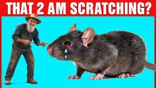 Thumbnail: 12 Smells That Drive Mice and Rats Out of Your Home (#1 Is Unbelievable)
