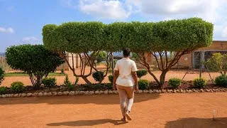 Thumbnail: Slow Living: Building my Dream Home Slowly, How Much I Have Spent Towards My Homestead, Home Making