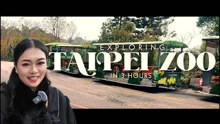 Thumbnail: 3 Hours in TAIPEI ZOO 🇹🇼 2026 Taiwan Travel Vlog